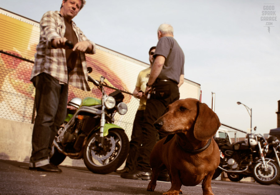 Ace Motorcycle & Scooter Co. Doggy